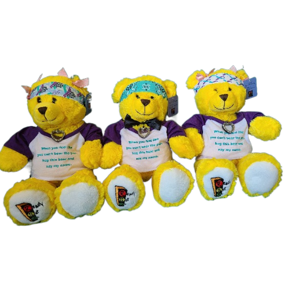 Ready Set Go Inspirational Suicide Awareness Bear