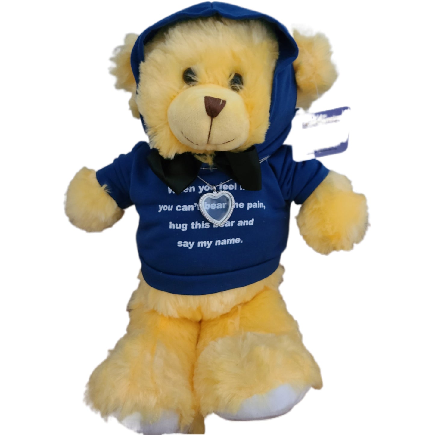 Ready Set Go Inspirational Comfort Boy bear in hoodie.