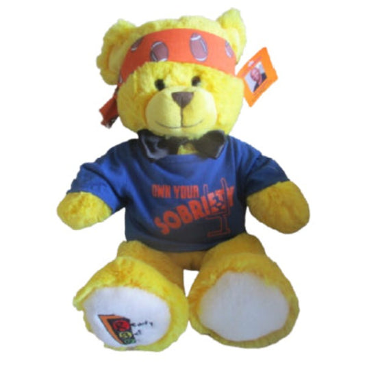 Ready Set Go Signed Limited Edition Vance Johnson Warrior Bear with Pendant & Certificate