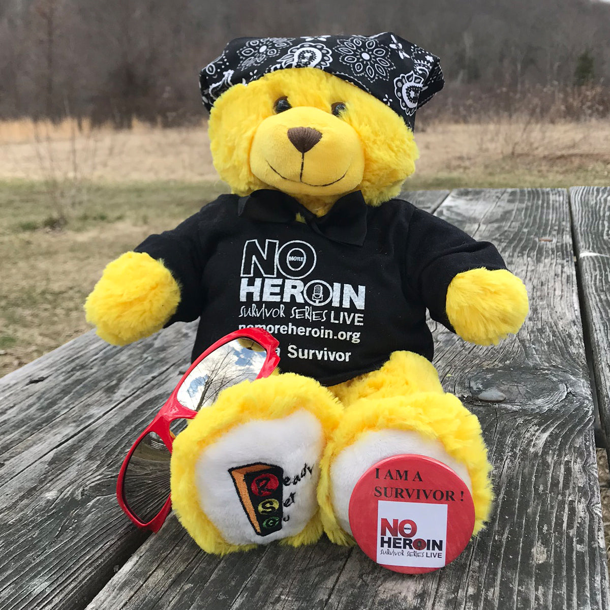 Ready Set Go 15" Limited Edition No More Heroin Survivor Bear